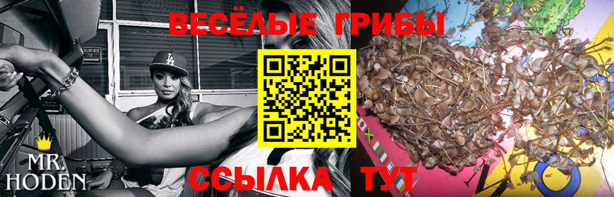 Псилоцибиновые грибы Cubensis  Псилоцибиновые грибы мухоморы  Апрелевка  Вход с VPN 