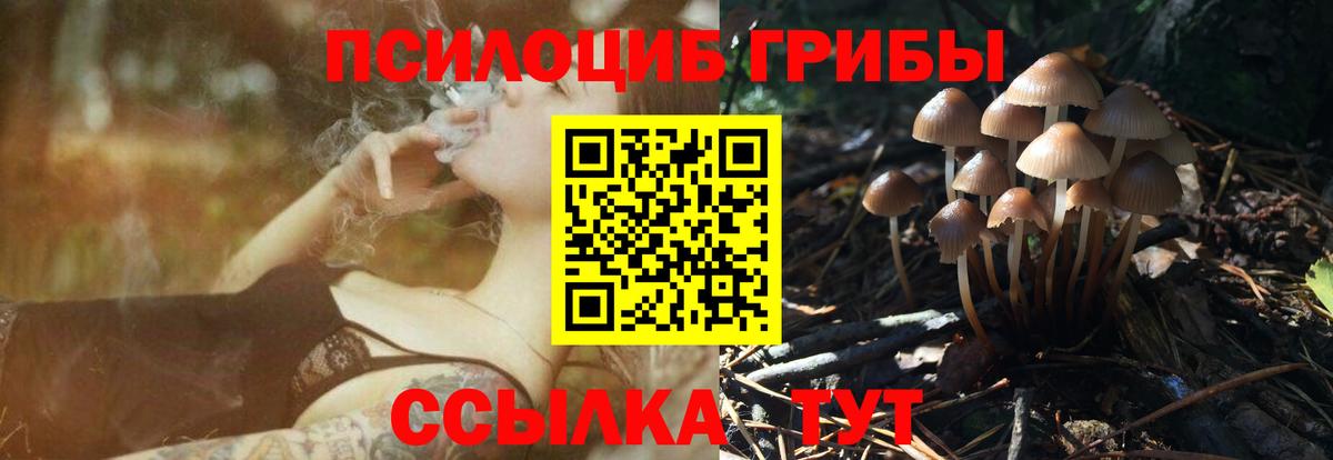 Галлюциногенные грибы Cubensis Апрелевка